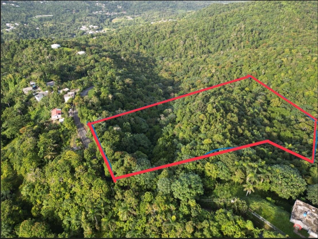 Bo Caguitas , Carr 785 Km.hm 4.2, Property Photo 1