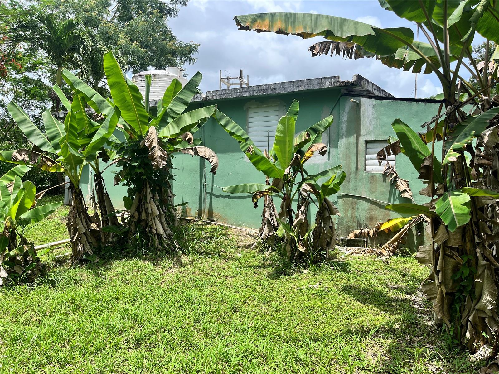 935 Ceiba Norte Property Photo 6