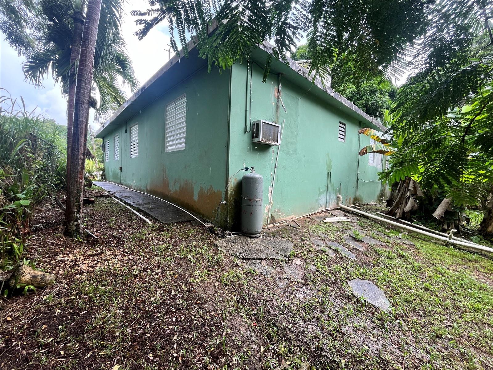 935 Ceiba Norte Property Photo 7
