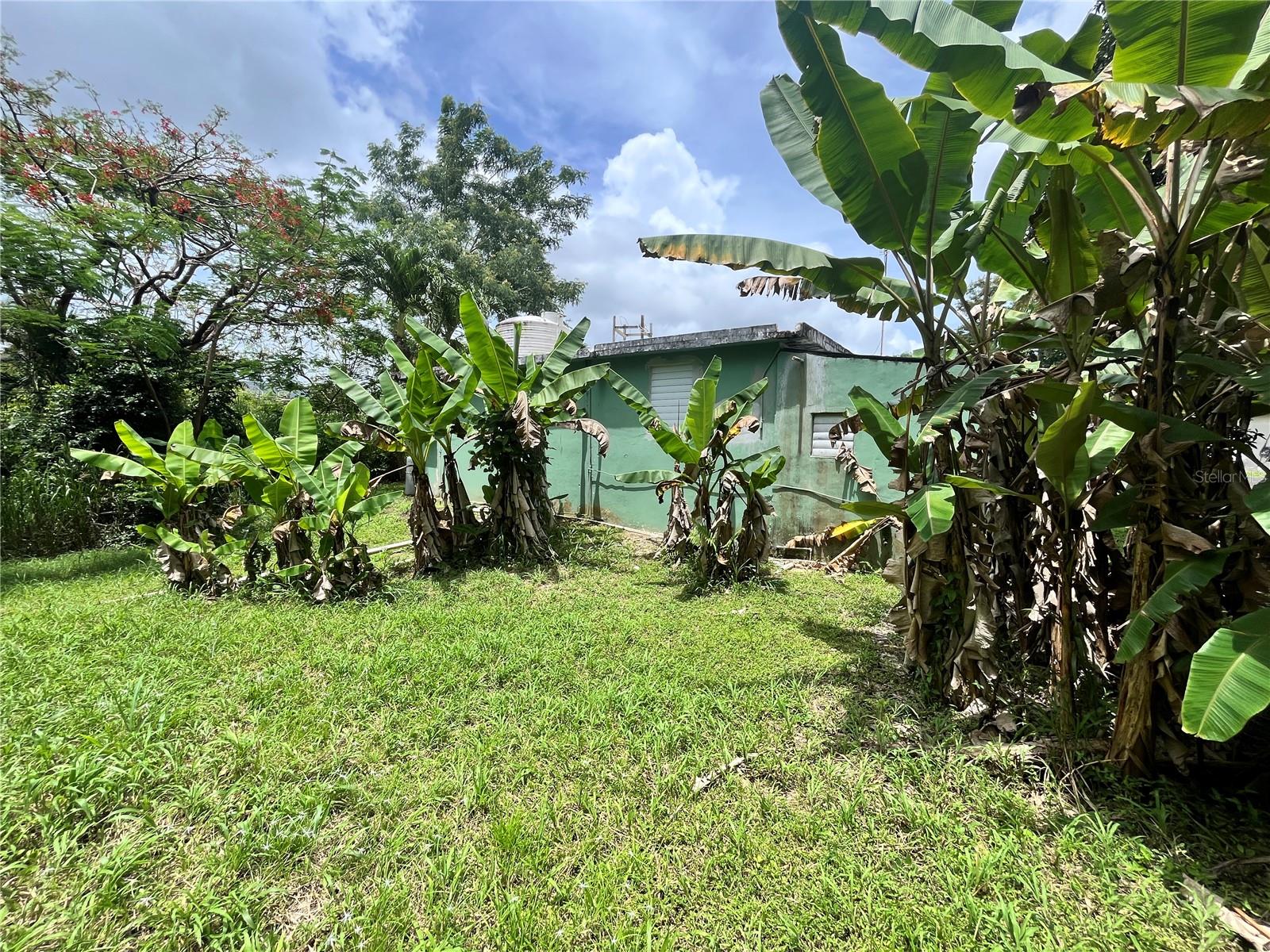 935 Ceiba Norte Property Photo 8