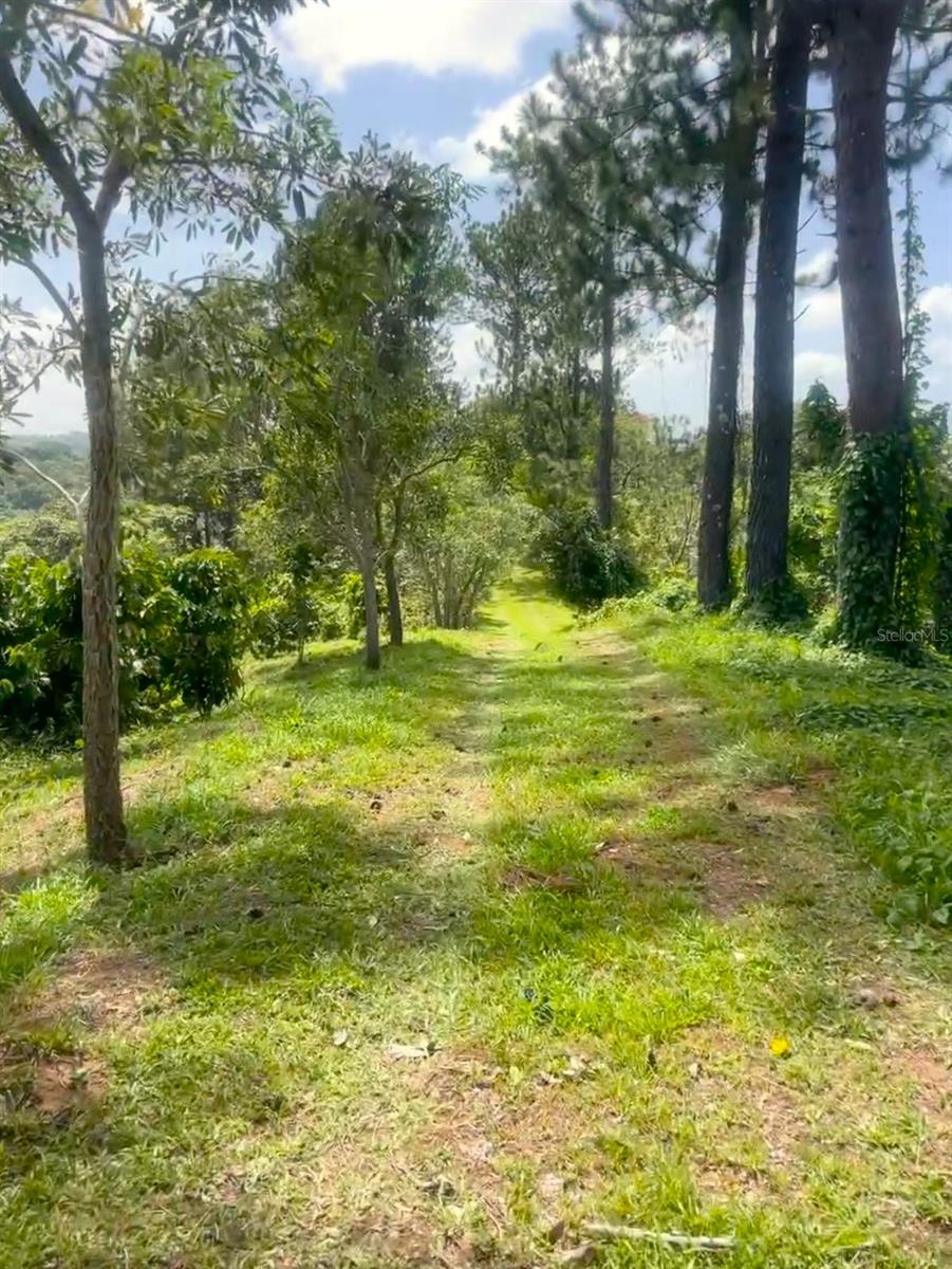 Solar 19 Barrio Cordillera Property Photo 4