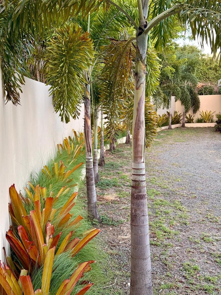 5 Puerto Real Property Photo 10