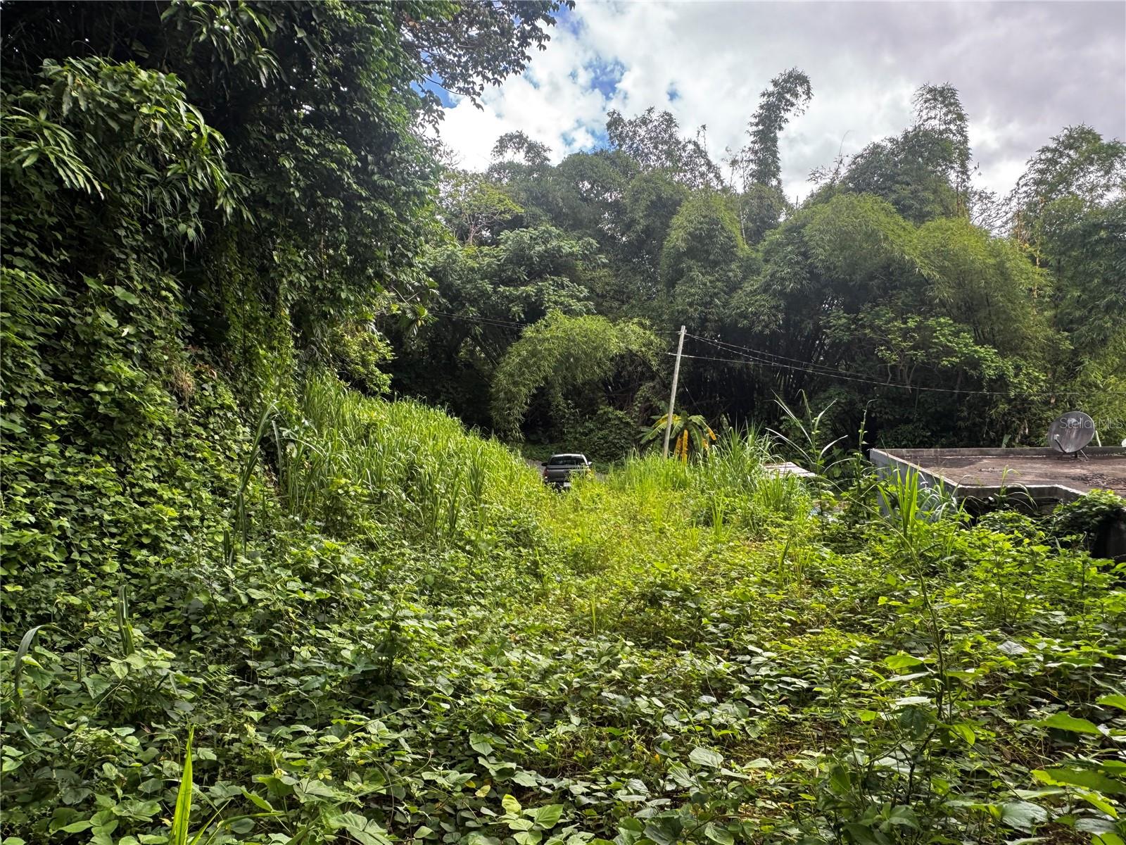 Bo Masa De Gurabo Carr 181 Km 13 Hm 2 #lote 4 Property Photo 5