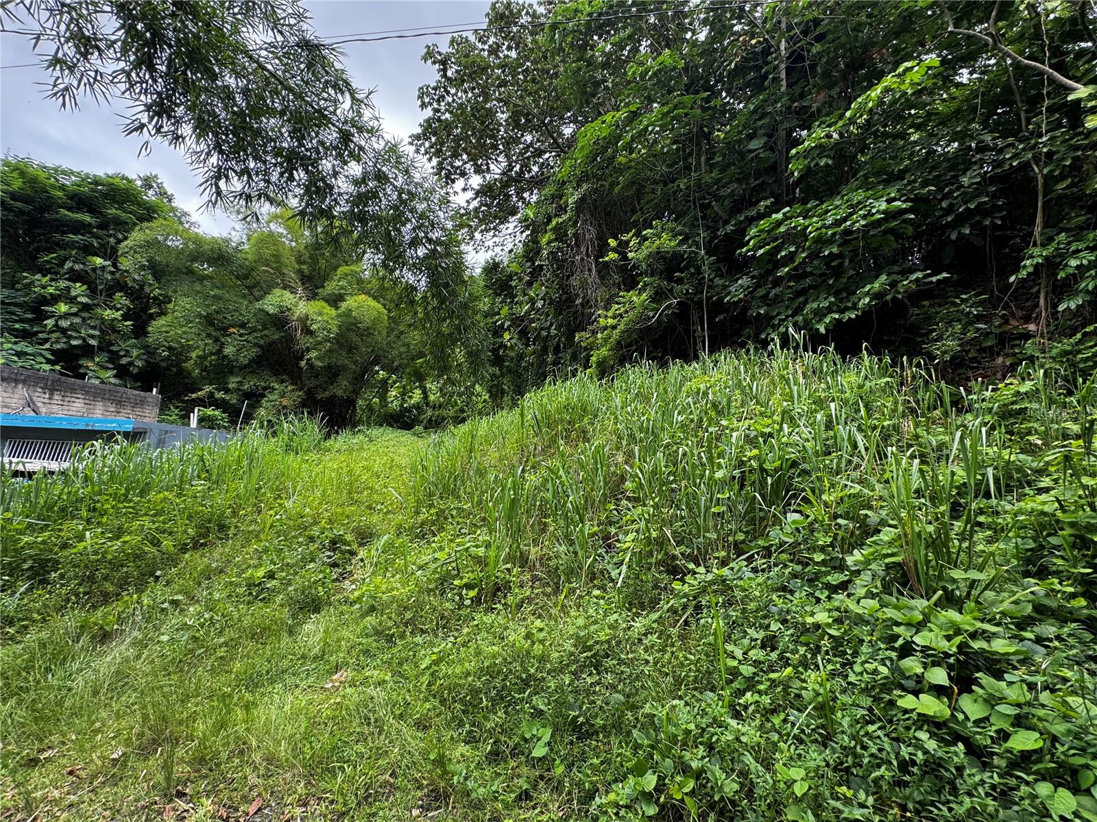 Carr 181 Bo Masas Km 13 Hm2 #lote 4 Property Photo 11