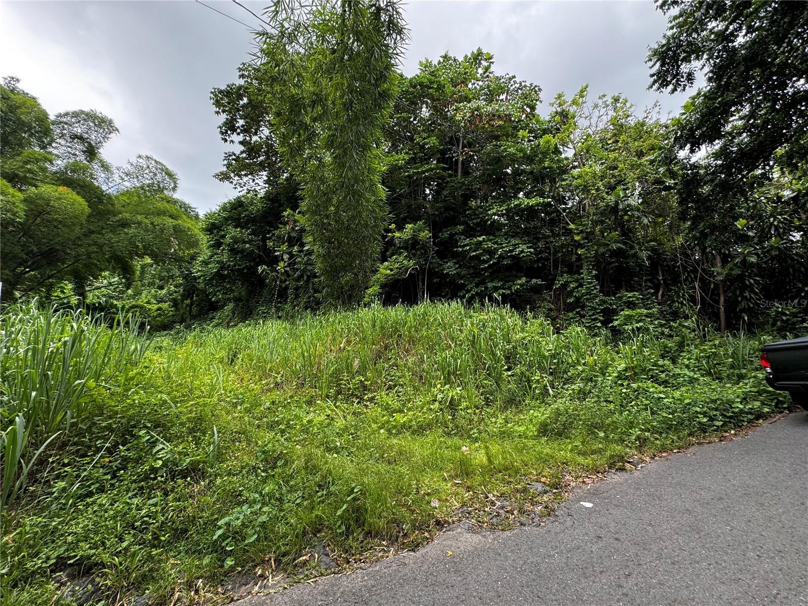 Carr 181 Bo Masas Km 13 Hm2 #lote 4 Property Photo 17