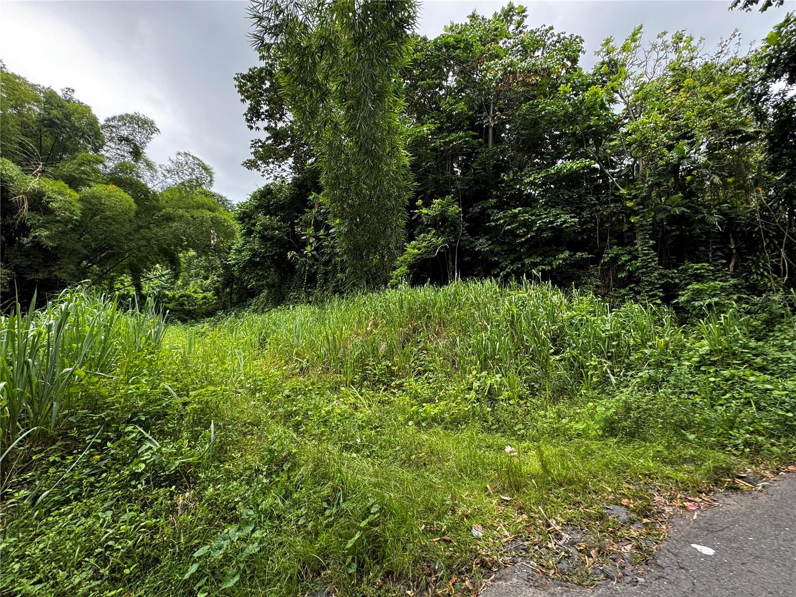 Carr 181 Bo Masa Km 13 Hm 2 #lote 5 Property Photo 9