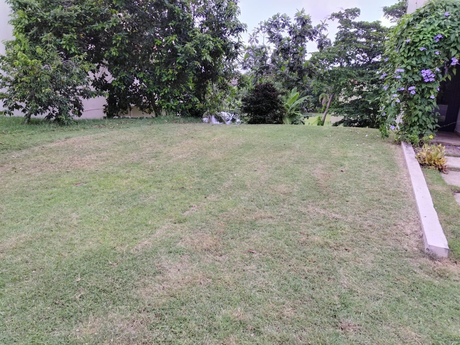 145 Montecarlo Property Photo 4