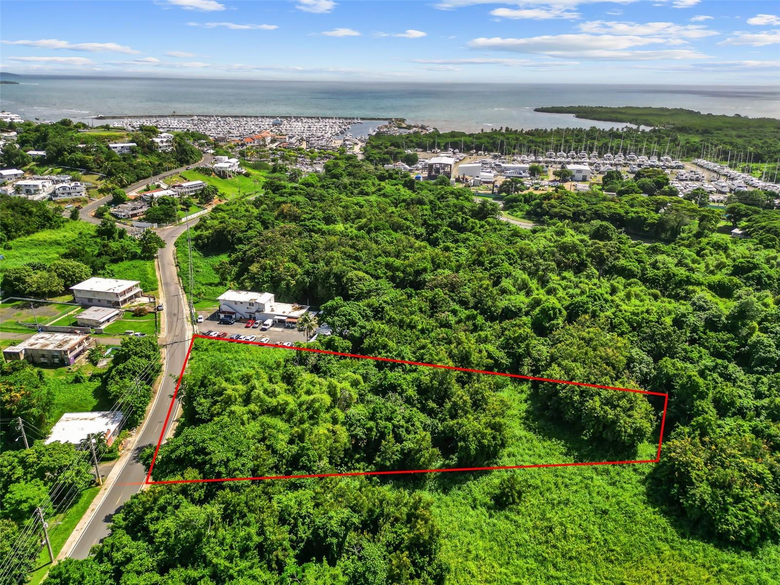 Carr. 982 Km 0.3 Bo. Demajagua Property Photo 8