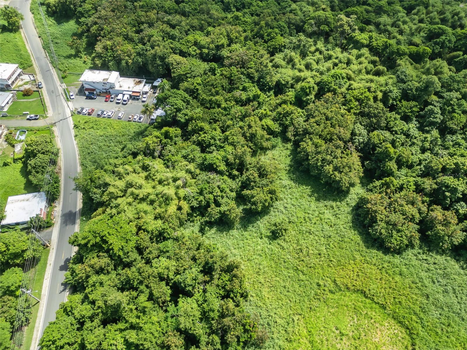 Carr. 982 Km 0.3 Bo. Demajagua Property Photo 21