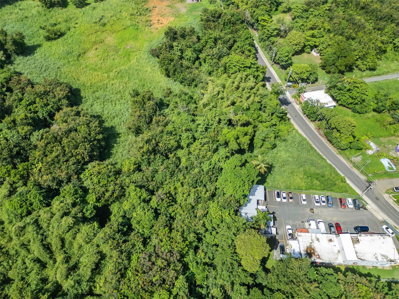 Carr. 982 Km 0.3 Bo. Demajagua Property Photo 24