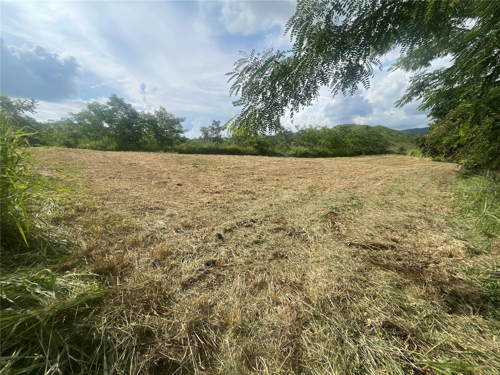 Km Hm 17.7 Carr 150 Property Photo 1