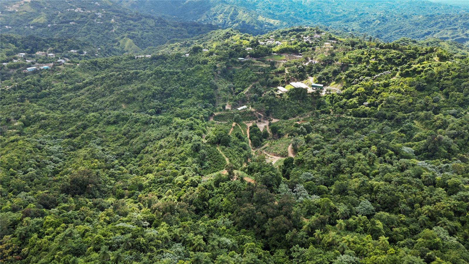 Bo. Hoyos Planes Carr. 531 Km Hm7 Property Photo 5