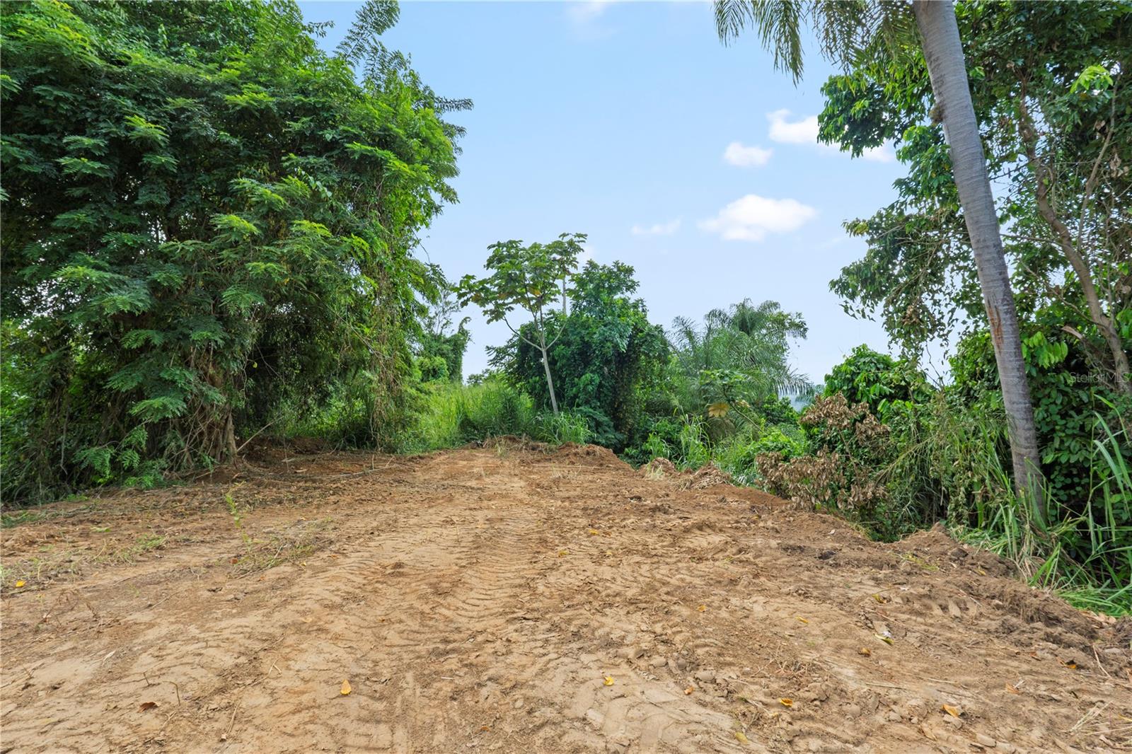 Bo. Hoyos Planes Carr. 531 Km Hm7 Property Photo 29
