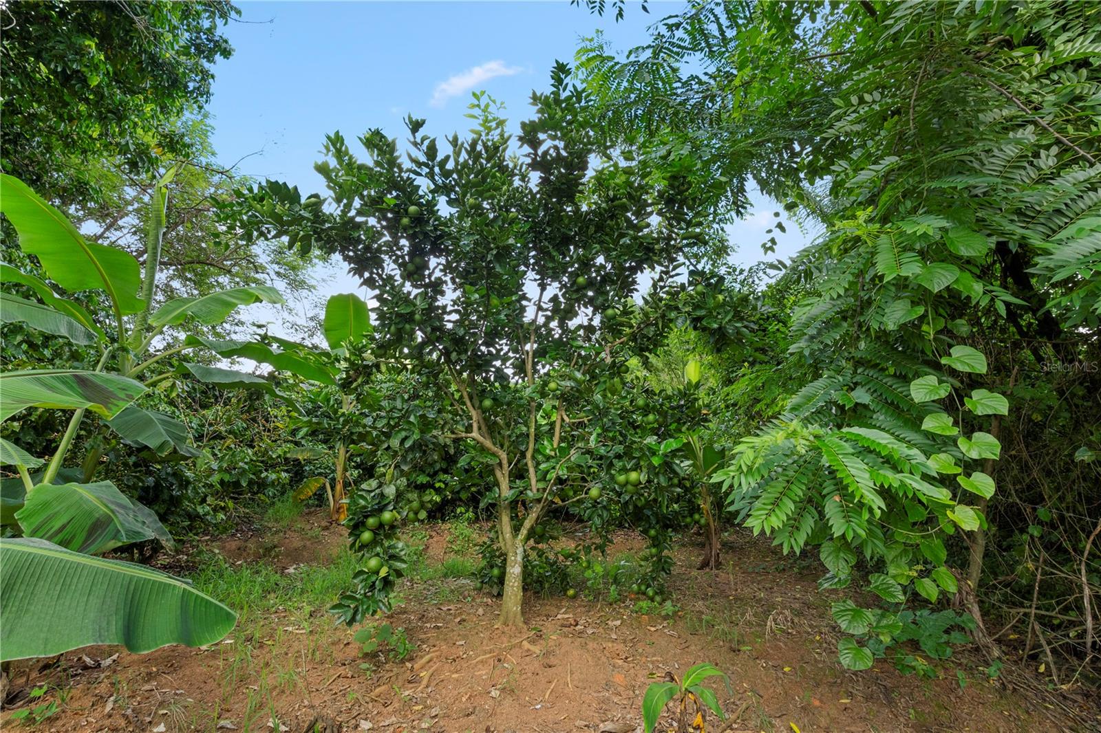 Bo. Hoyos Planes Carr. 531 Km Hm7 Property Photo 33
