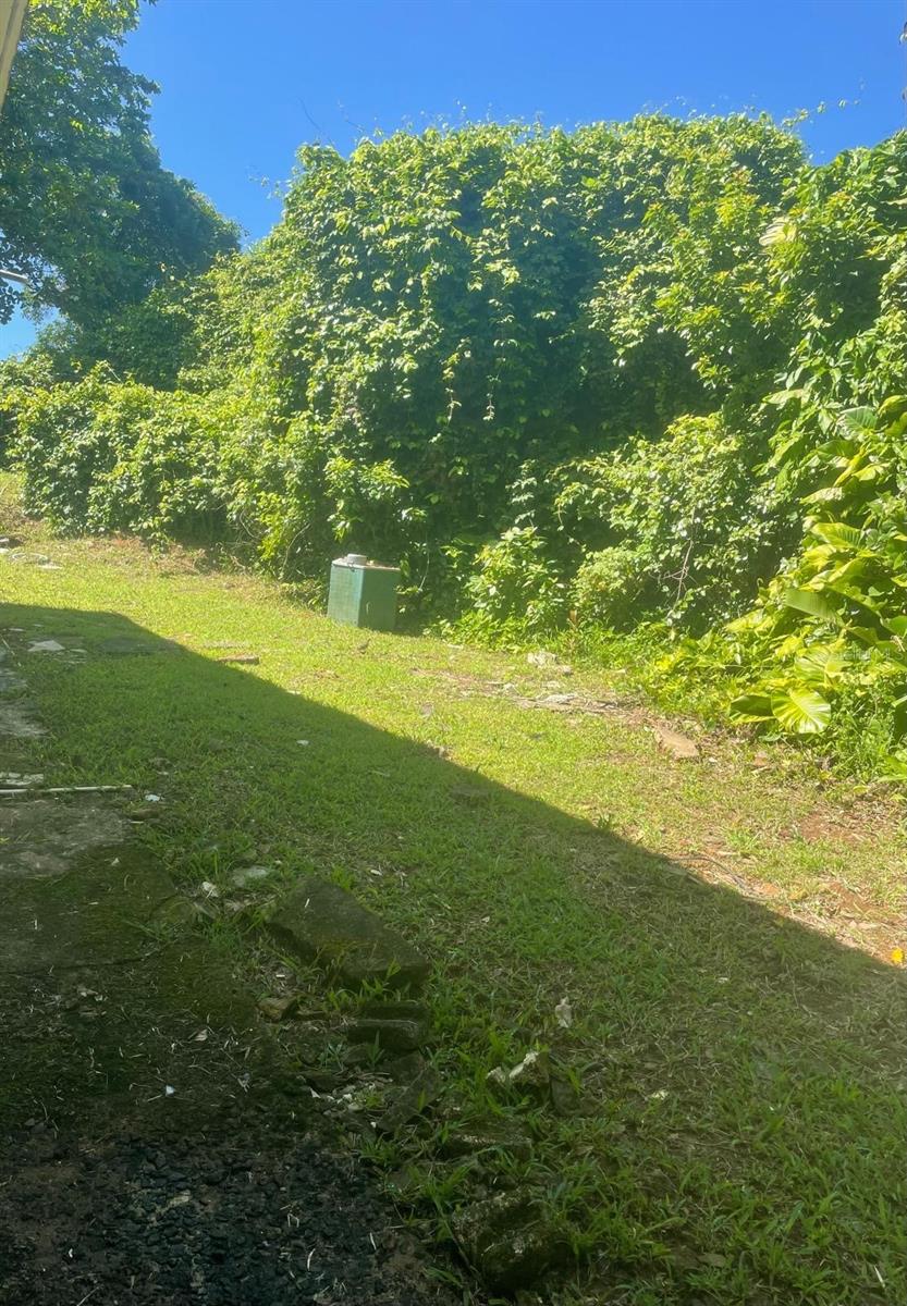Carr 842 Caimito Alto Property Photo 16