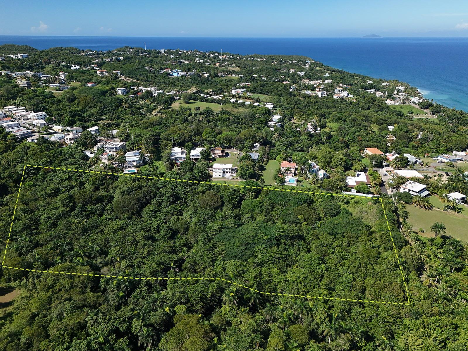 CALLE LAS PALMAS Property Photo 1
