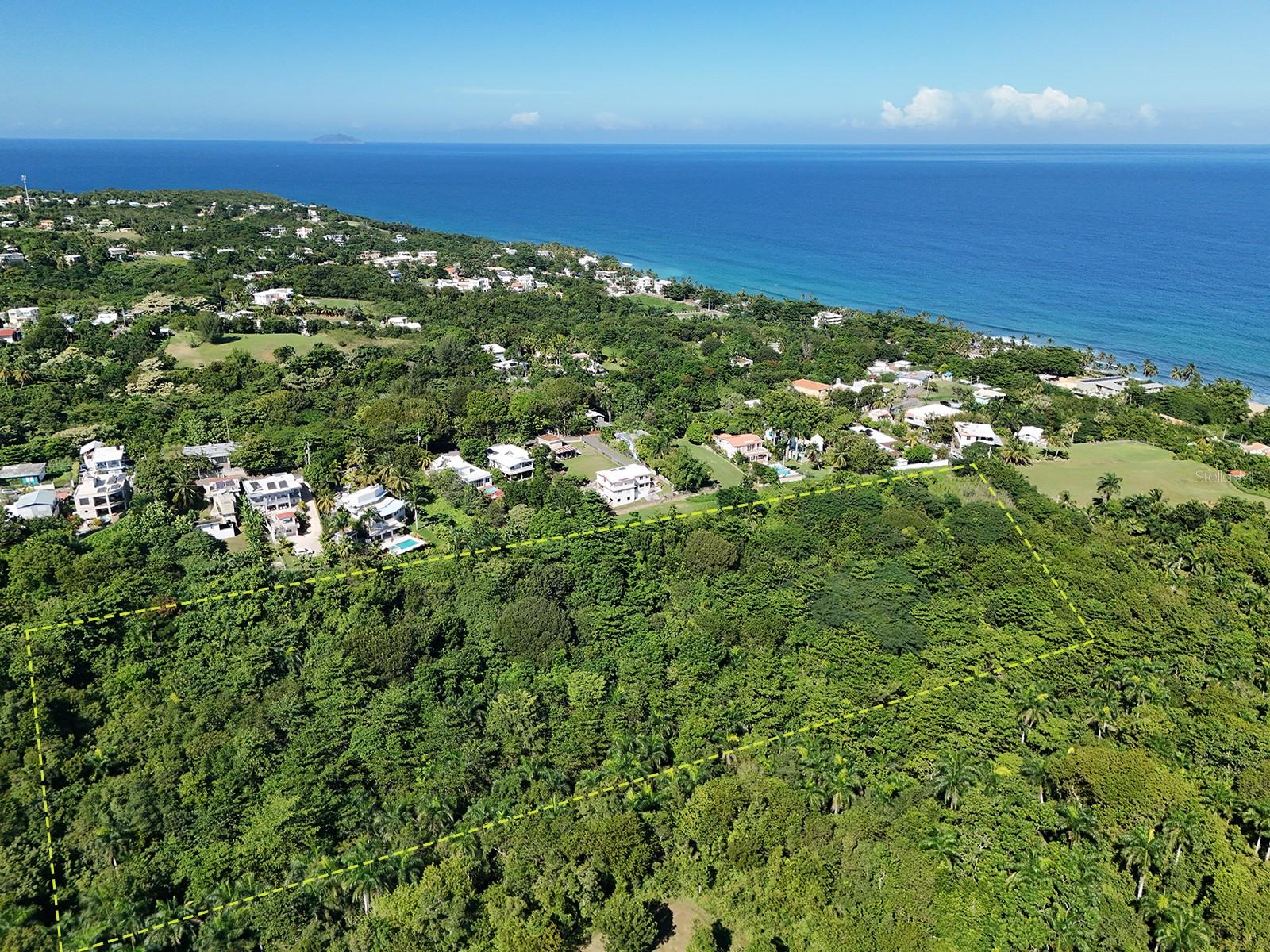 Calle Las Palmas Property Photo 2