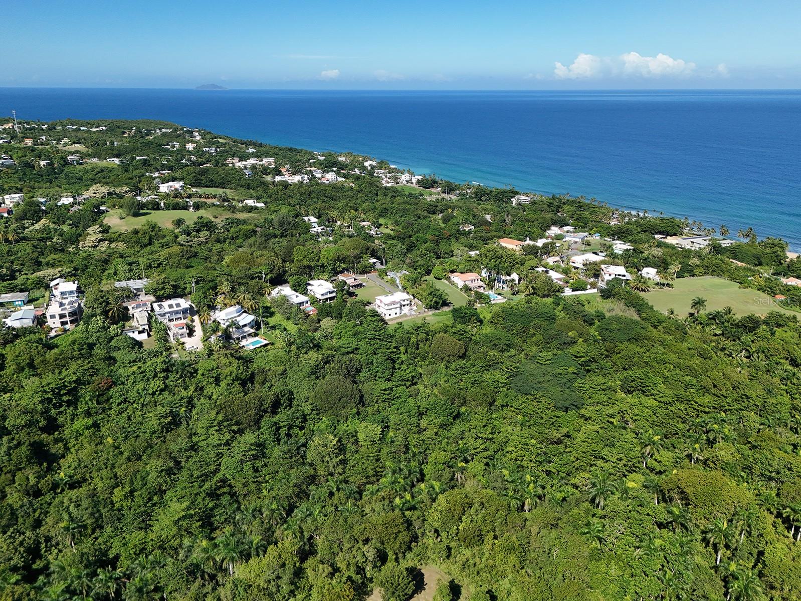 Calle Las Palmas Property Photo 4