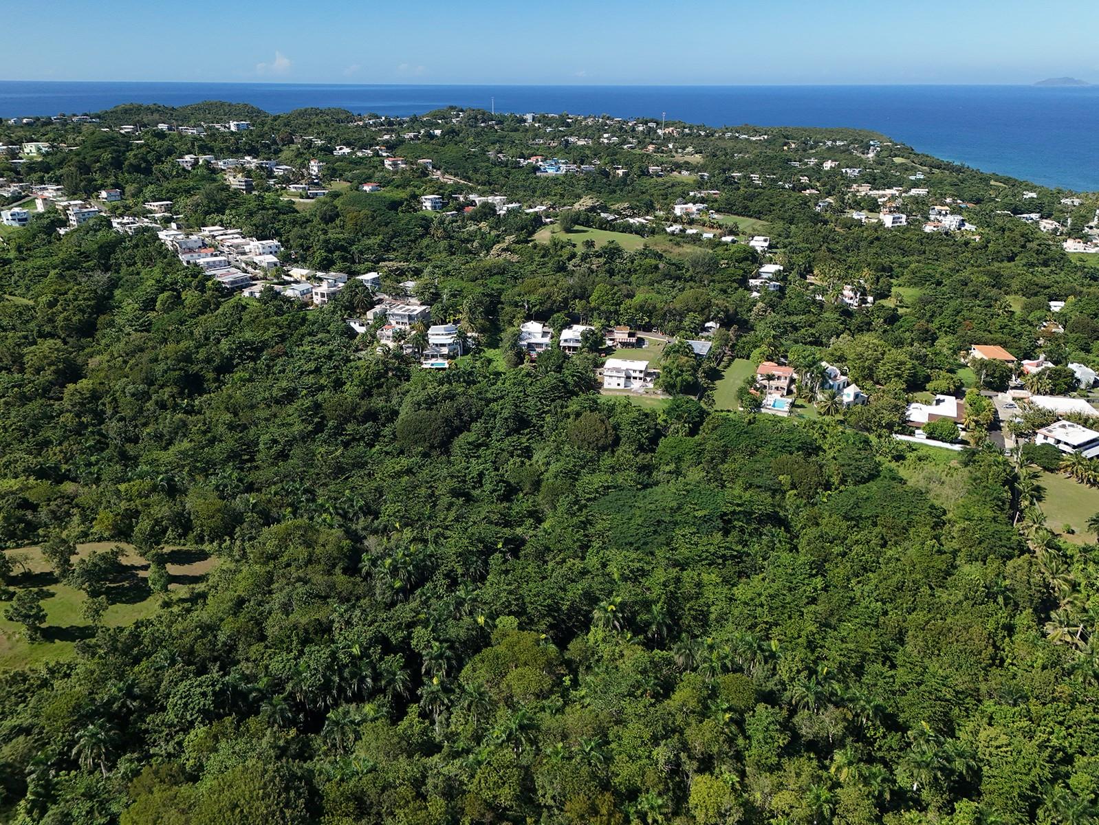 Calle Las Palmas Property Photo 6