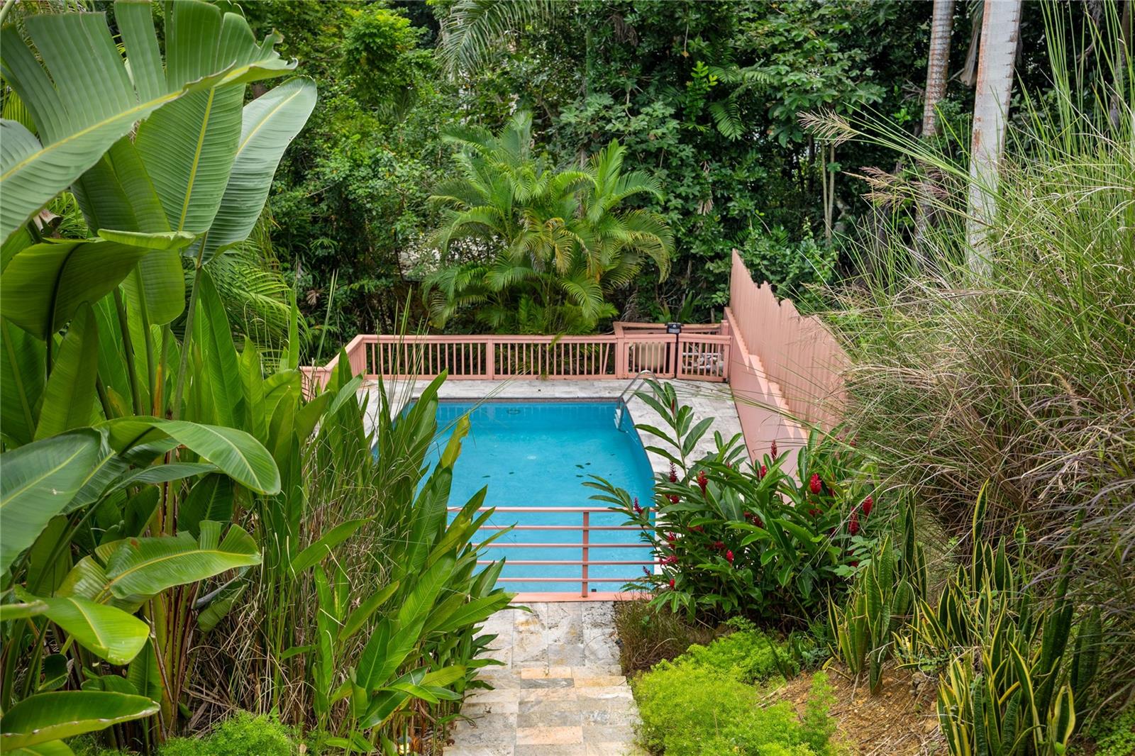 Carr. 413 Int. Km 4 The Jungle Property Photo 27