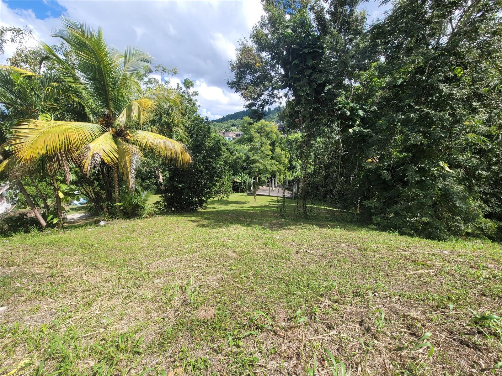 Carr 829, Km 2.3 Bo. Buena Vista Property Photo 5
