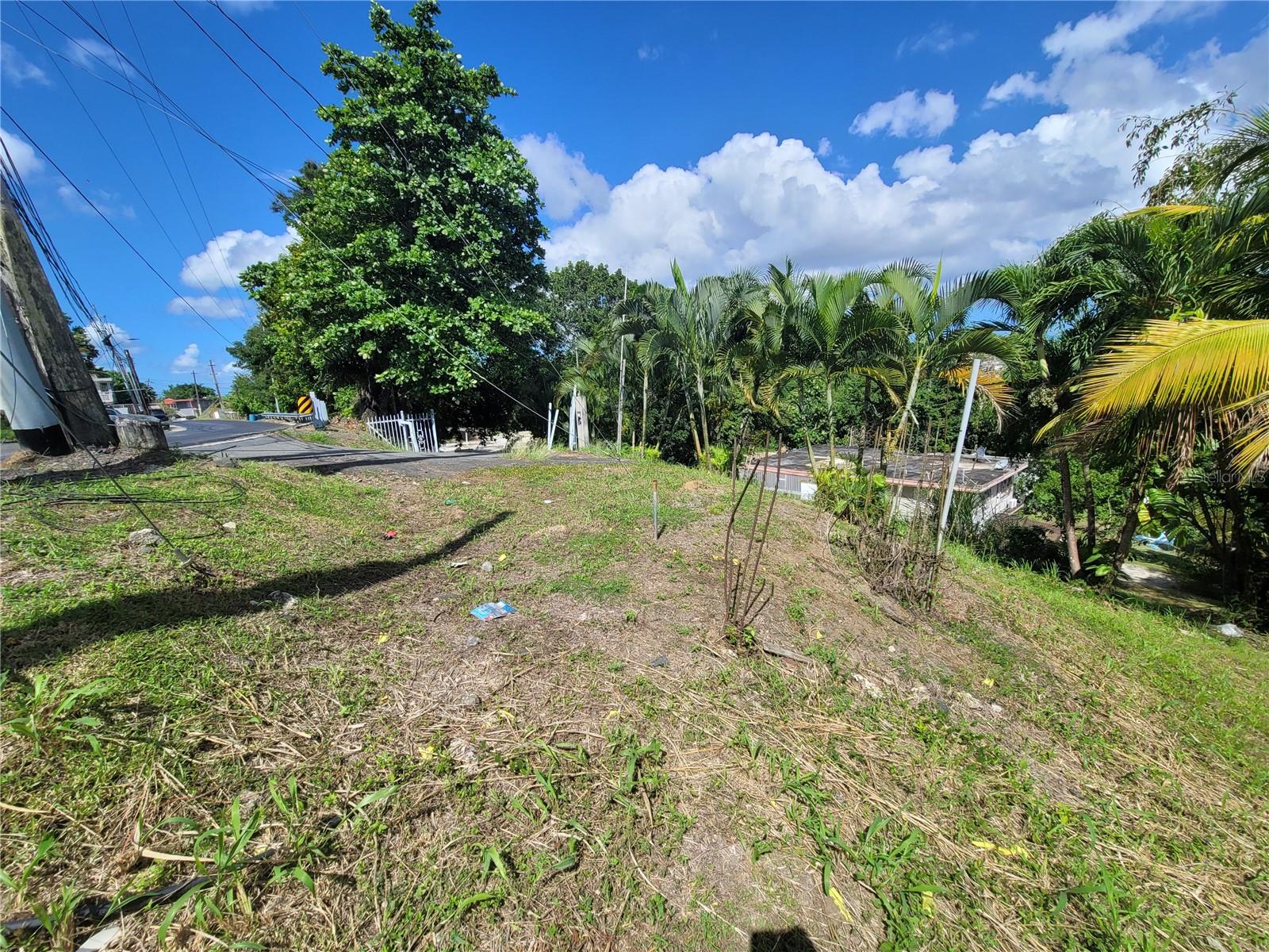 Carr 829, Km 2.3 Bo. Buena Vista Property Photo 7