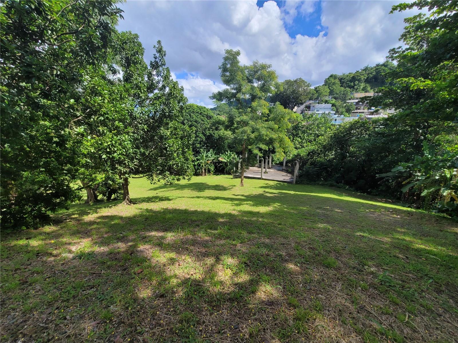 Carr 829, Km 2.3 Bo. Buena Vista Property Photo 8