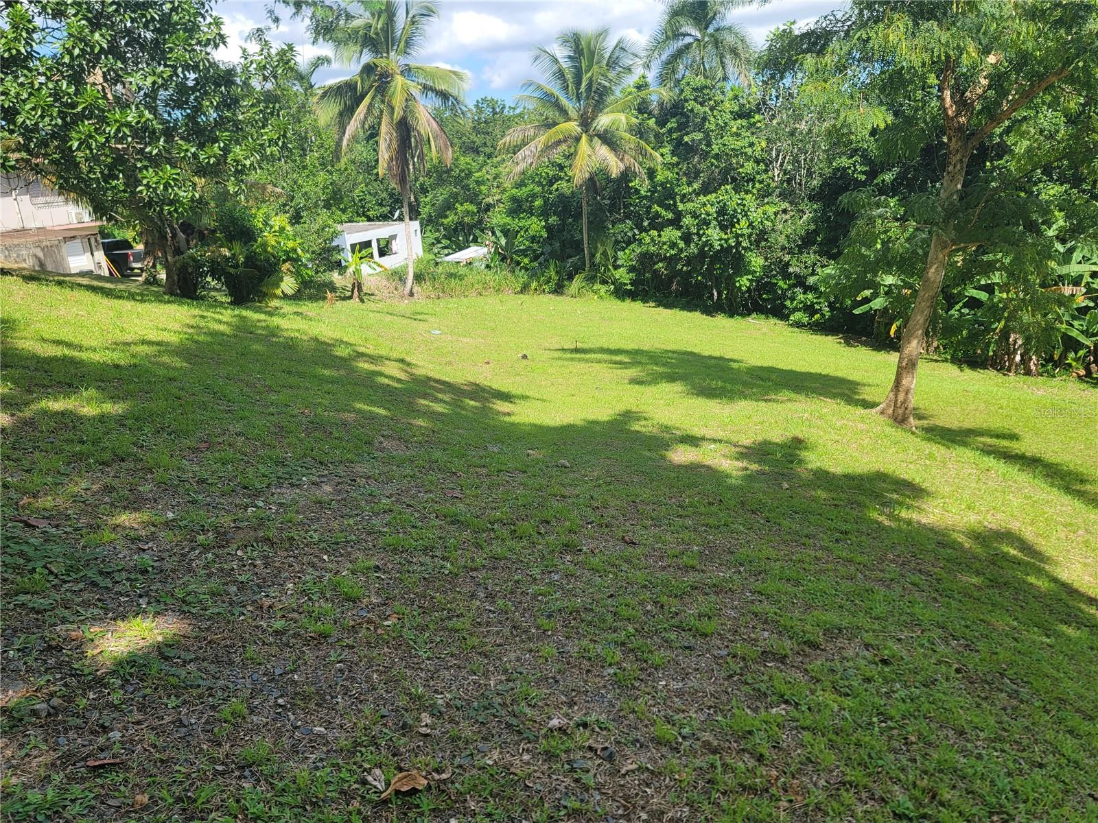 Carr 829, Km 2.3 Bo. Buena Vista Property Photo 11