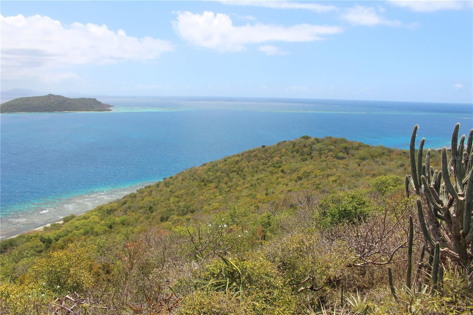 250 Zoni Playa Larga Property Photo 4