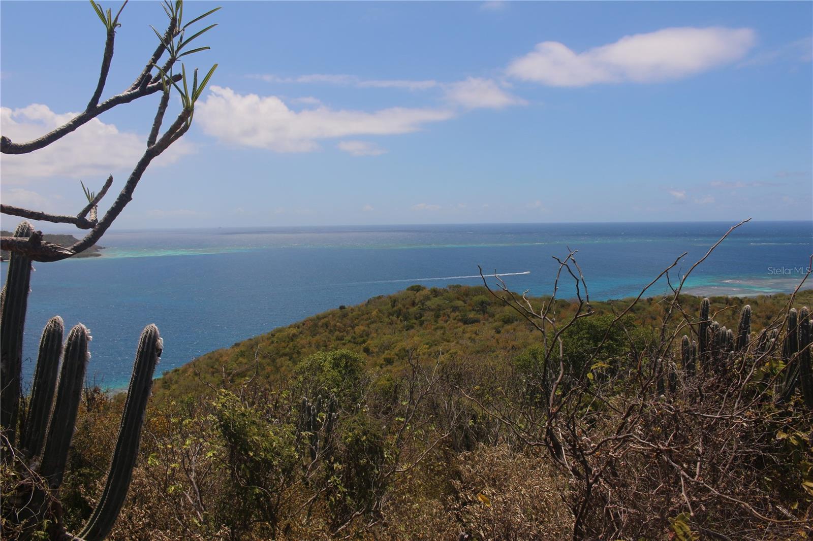 250 Zoni Playa Larga Property Photo 5