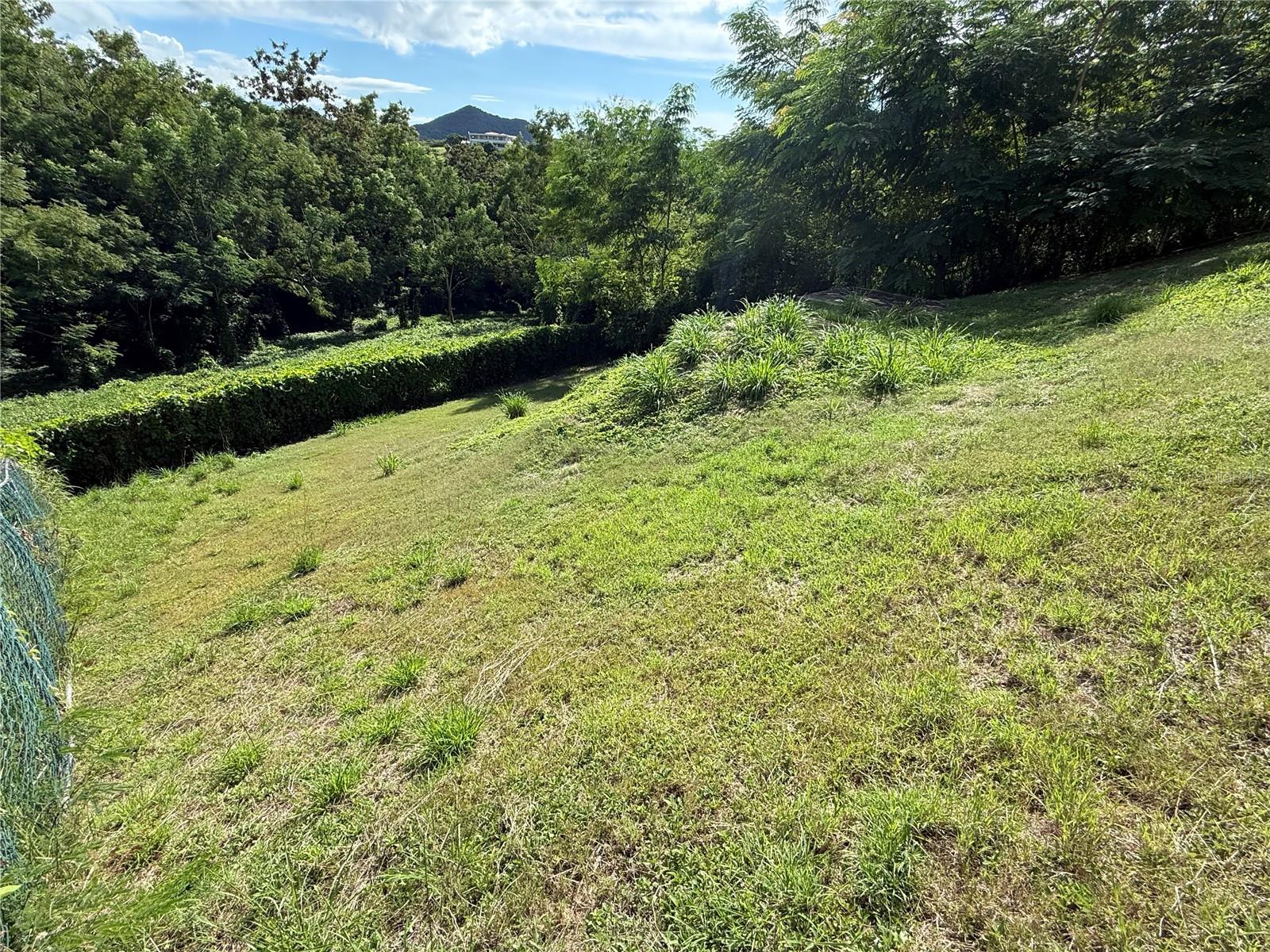 Carr 411 Km 0.20 Bo. Calvache Property Photo 10