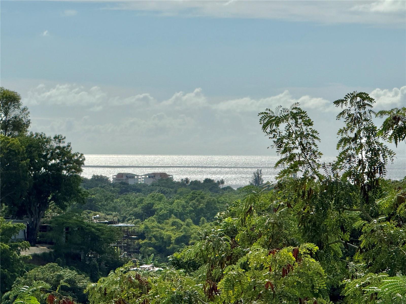 Carr 411 Km 0.20 Bo. Calvache Property Photo 14