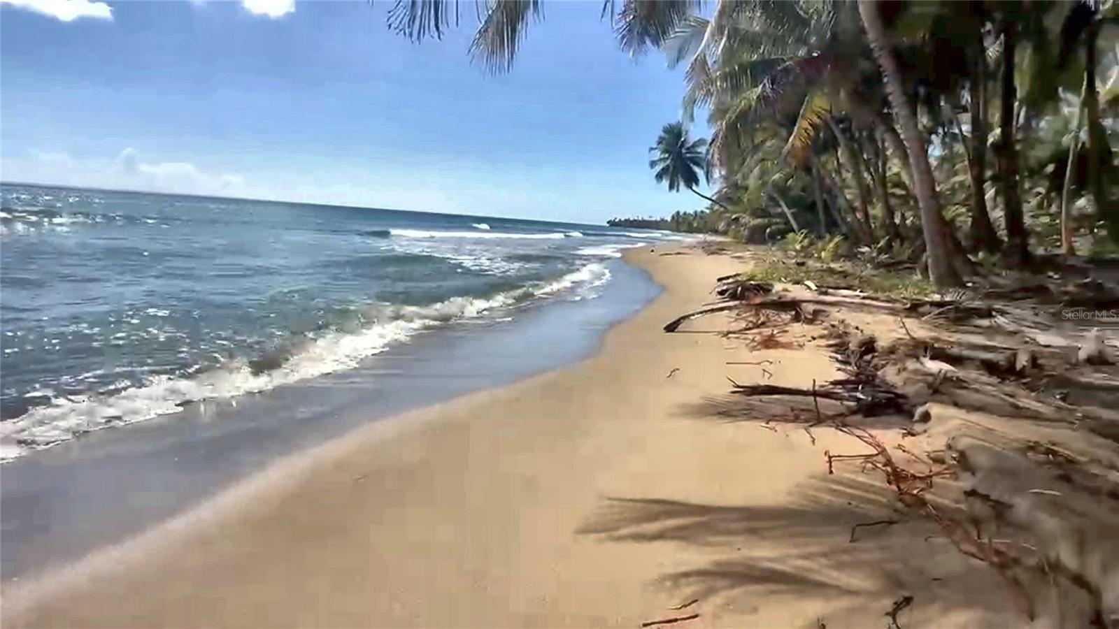 Beach Front Punta Guilarte Property Photo 8