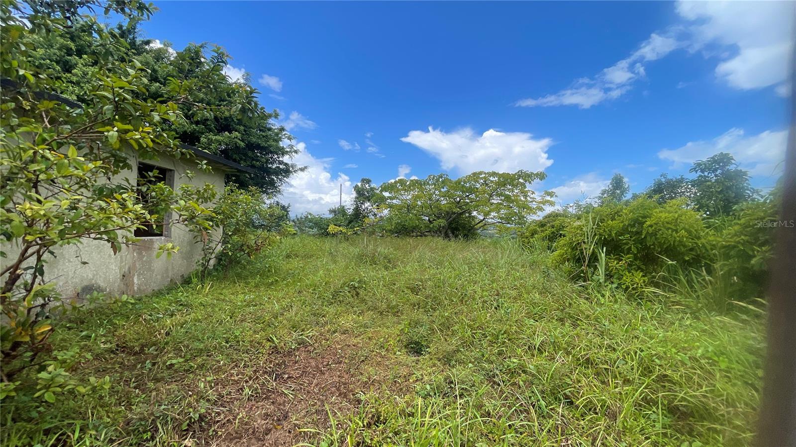 908 St Barrio Tejas Property Photo 8