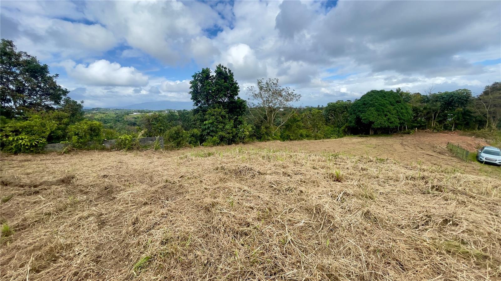 908 St Barrio Tejas Property Photo 39