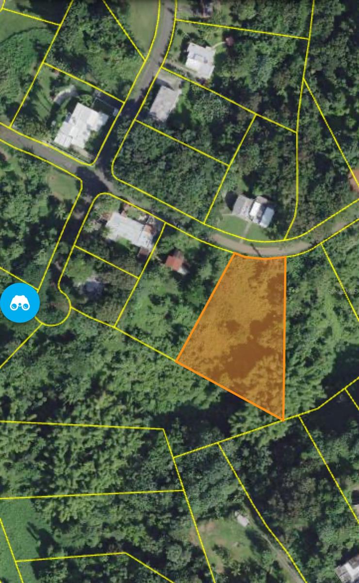 Calle Pitirre #lot 46 Property Photo 1