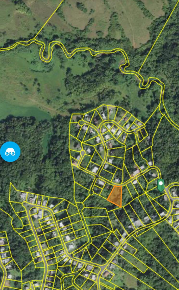 Calle Pitirre #lot 46 Property Photo 2