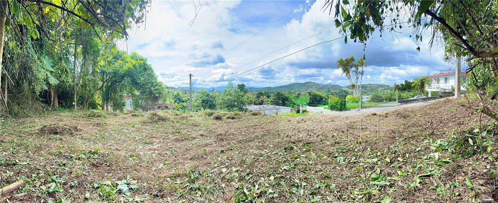 Calle Pineros Property Photo 2