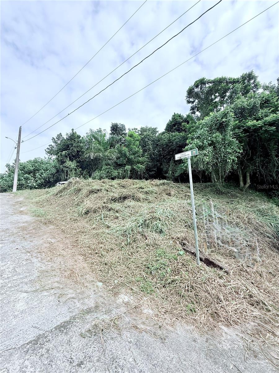 Calle Pineros Property Photo 6