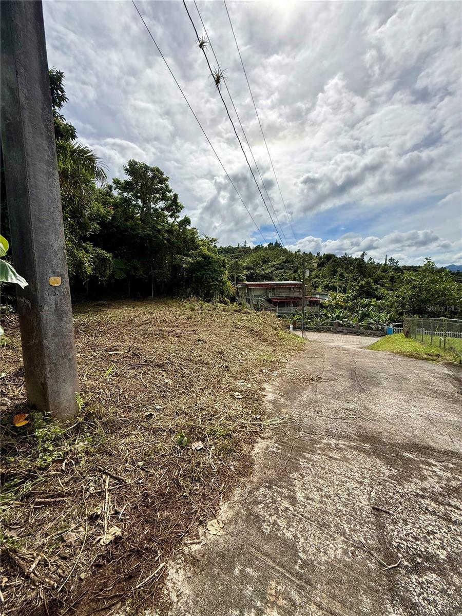 Calle Pineros Property Photo 10