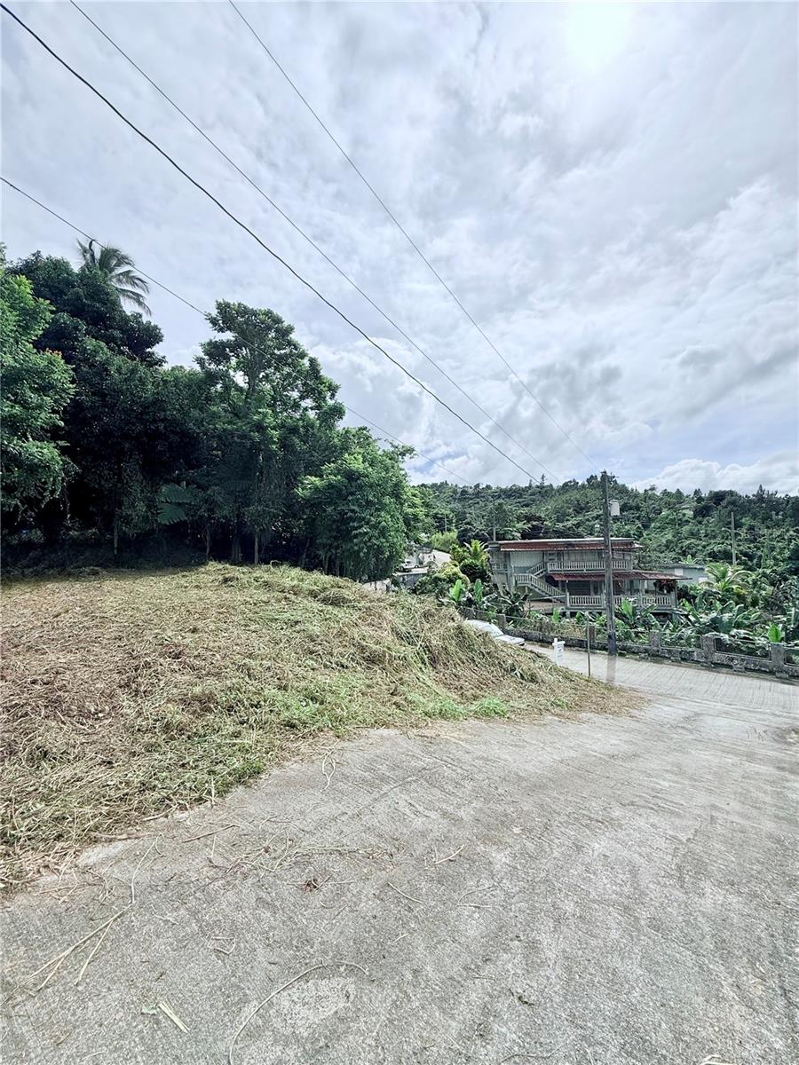 Calle Pineros Property Photo 14