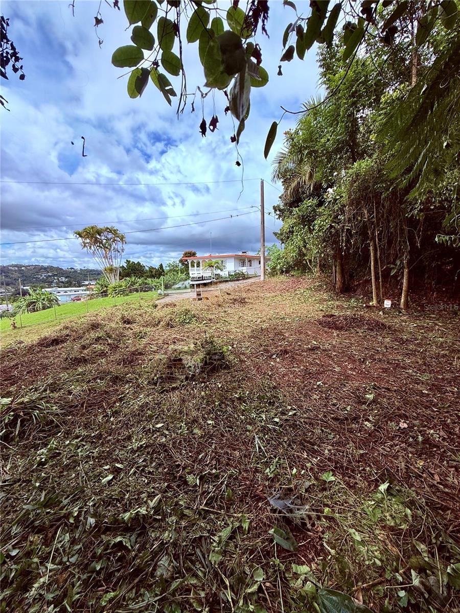 Calle Pineros Property Photo 18
