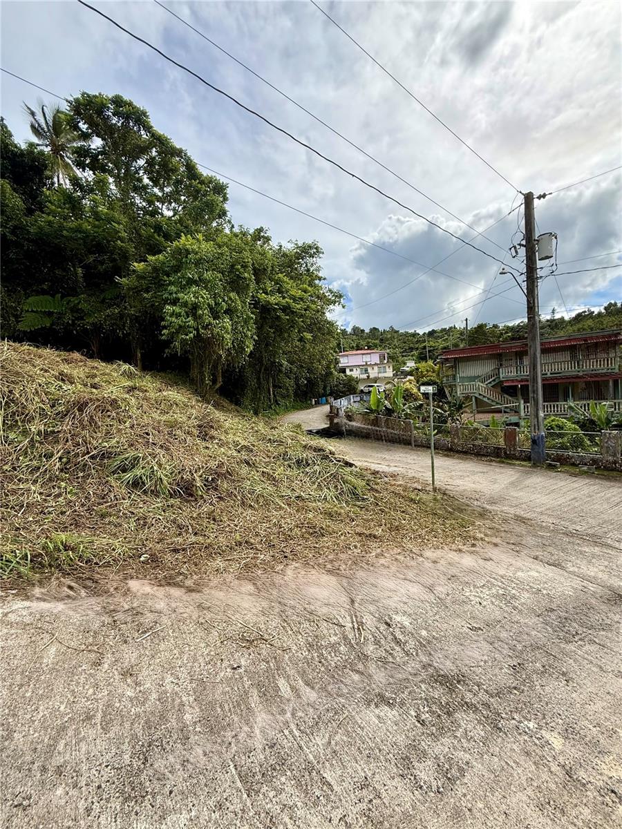 Calle Pineros Property Photo 20