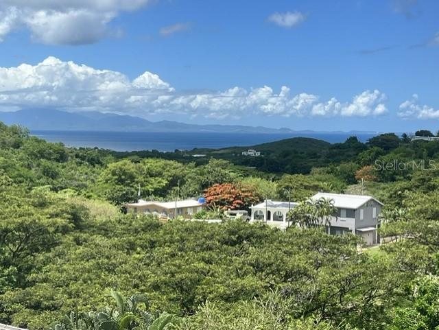 15 Bird's Nest Studios Property Photo 1