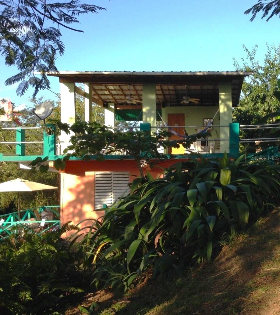 15 Bird's Nest Studios Property Photo 31