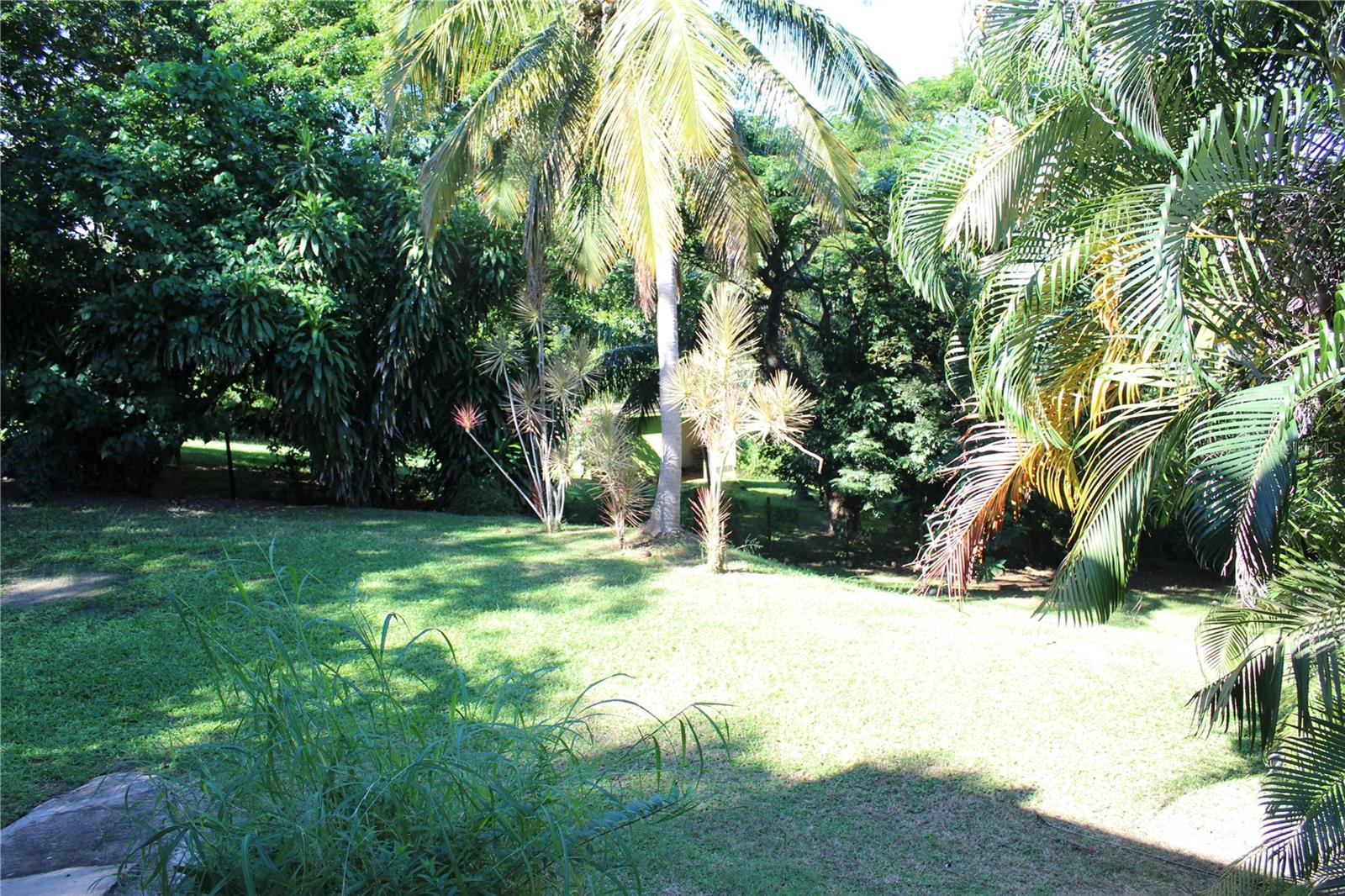 15 Bird's Nest Studios Property Photo 35
