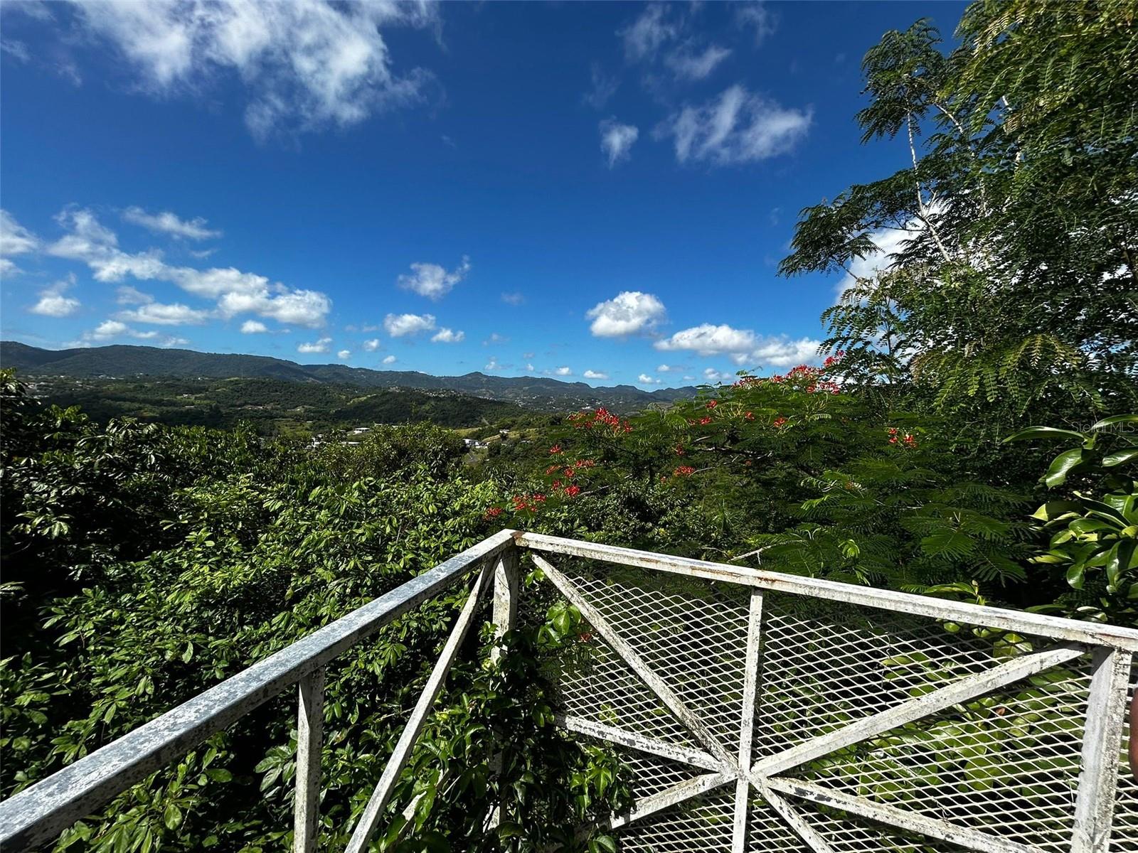 171, Km 2.1 Bo. Rincon Property Photo 10