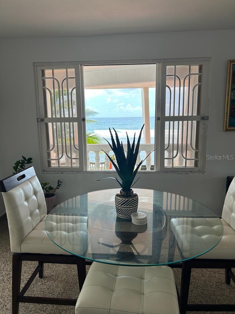 Carr. #3 Beach House Guardarraya Property Photo 43