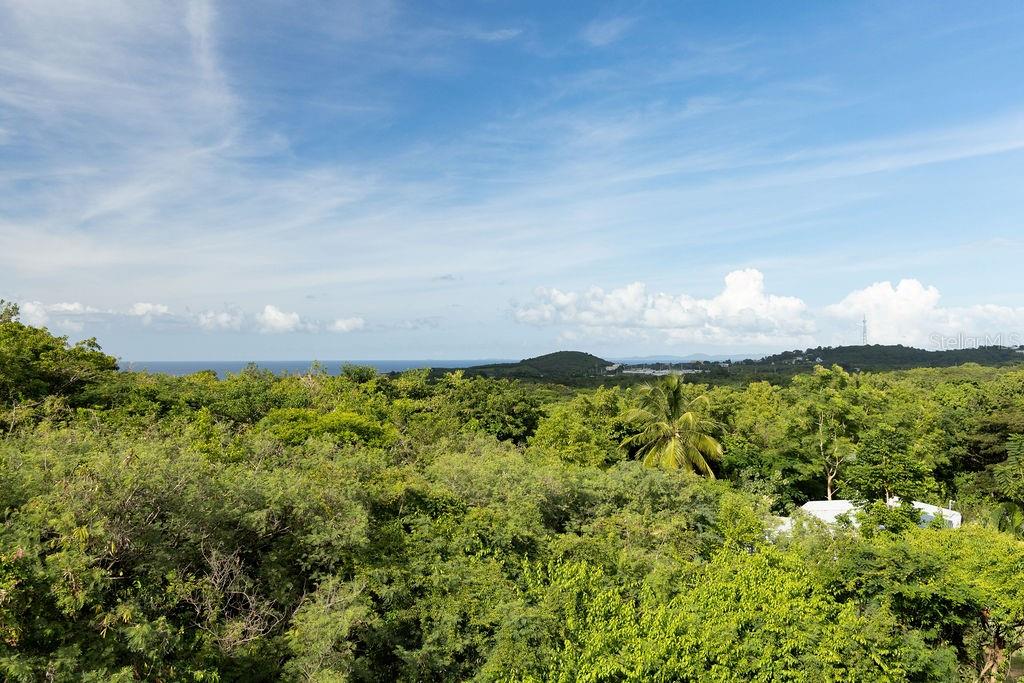 78 Hidden Paradise Property Photo 24