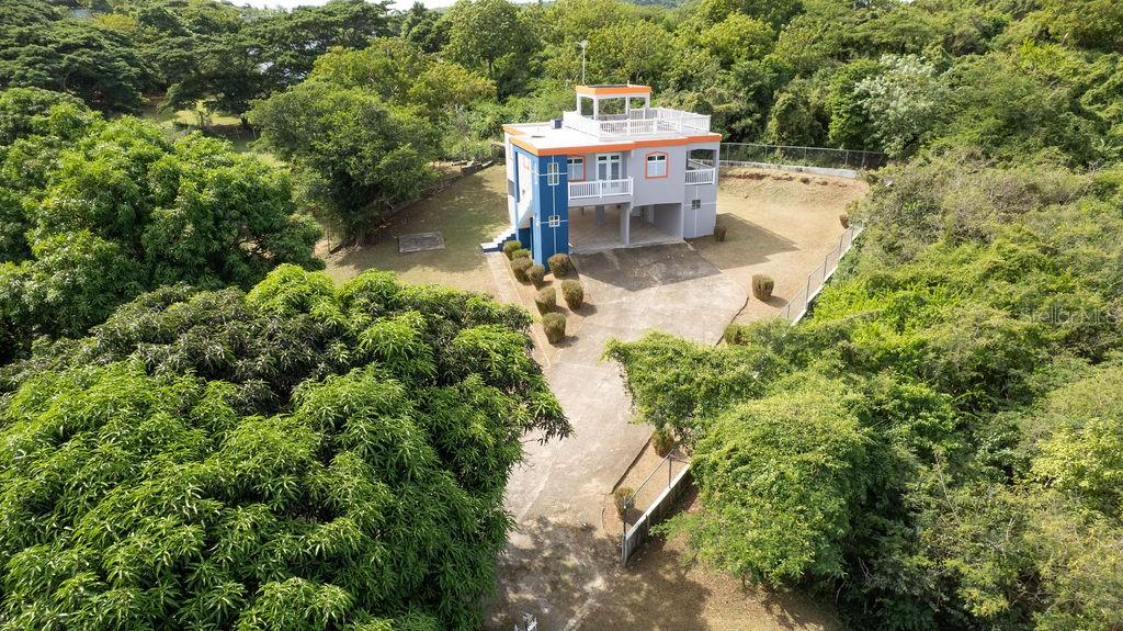 78 Hidden Paradise Property Photo 31